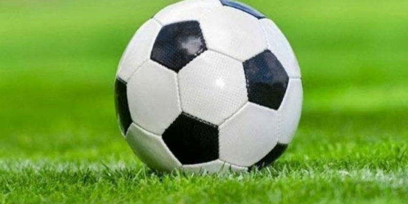 Người chơi có thể dựa vào nhiều yếu tố khác nhau để đưa ra dự đoán